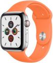 Apple Watch Series 5 44mm Stainless Steel Case with Sport Band GPS Cellular